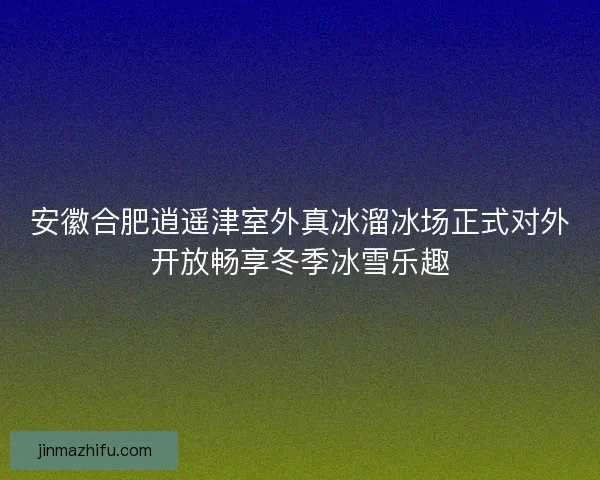 安徽合肥逍遥津室外真冰溜冰场正式对外开放畅享冬季冰雪乐趣